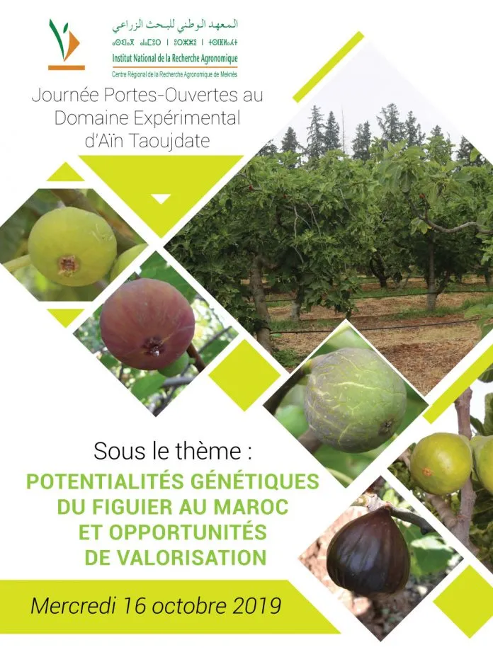 Agrinova - Séminaire Figuier