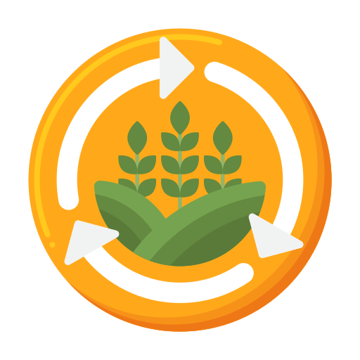 Unité de transformation des céréales et légumineuses